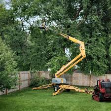 Best Lawn Irrigation Installation and Maintenance  in Gorman, NC